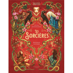 LES SORCIERES - L'ENCYCLOPEDIE DU MERVEILLEUX - TOME 1