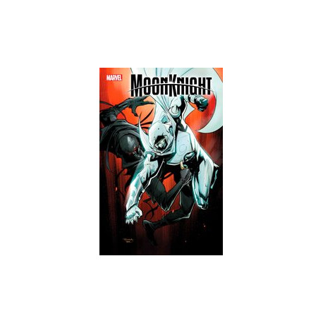 MOON KNIGHT 29