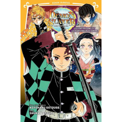 DEMON SLAYER ROMAN JEUNESSE T02 LES LIENS FRATERNELS ET LES POURFENDEURS DE DEMONS