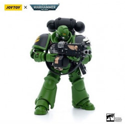 SALAMANDERS INTERCESSORS BROTHER HAECULE WARHAMMER 40K FIGURINE 12 CM
