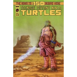 TMNT ONGOING 146 CVR A FEDERICI