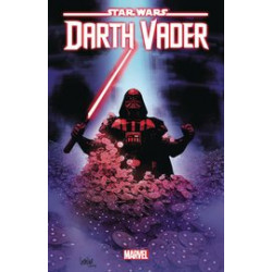 STAR WARS DARTH VADER 41