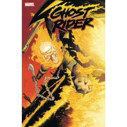 GHOST RIDER #18 25 COPY INCV DECLAN SHALVEY VAR
