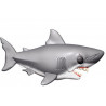 DENTS DE LA MER - GRAND REQUIN BLANC POP