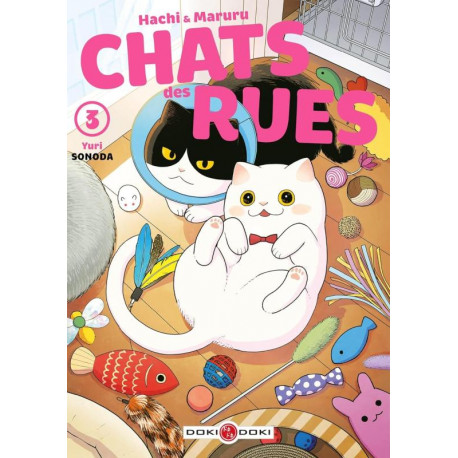 HACHI ET MARURU CHATS DES RUES T03