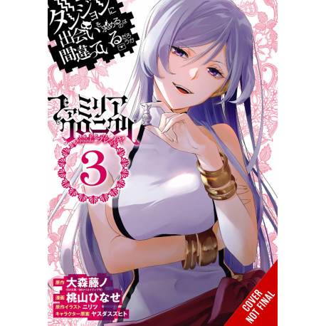 IS WRONG PICK UP GIRLS DUNGEON FAMILIA FREYA GN VOL 3