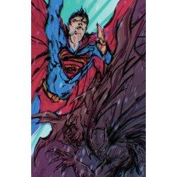 BATMAN SUPERMAN WORLDS FINEST 2024 ANNUAL 1 ONE SHOT CVR B JOHN GIANG CARD STOCK VAR