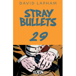 STRAY BULLETS 29