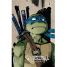 LES TORTUES NINJA TMNT : L'INTEGRALE T03