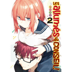 LES ALLUMES DU CONSEIL ! - TOME 02