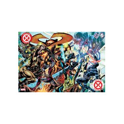 FALL OF THE HOUSE OF X 4 BRYAN HITCH CONNECTING VAR
