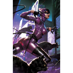 CATWOMAN 64 CVR C DERRICK CHEW CARD STOCK VAR