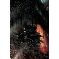 BATMAN THE BRAVE AND THE BOLD 12 CVR B FRANCESCO MATTINA VAR