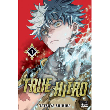 TRUE HIIRO T01