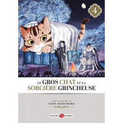 LE GROS CHAT ET LA SORCIERE GRINCHEUSE T 04