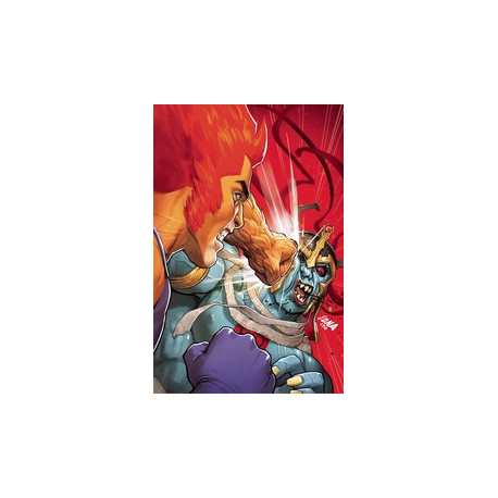 THUNDERCATS 4 CVR J NAKAYAMA LTD VIRGIN