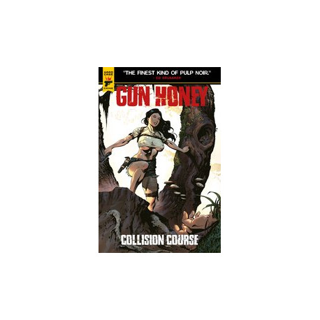 GUN HONEY COLLISION COURSE 1 CVR F DARNELL