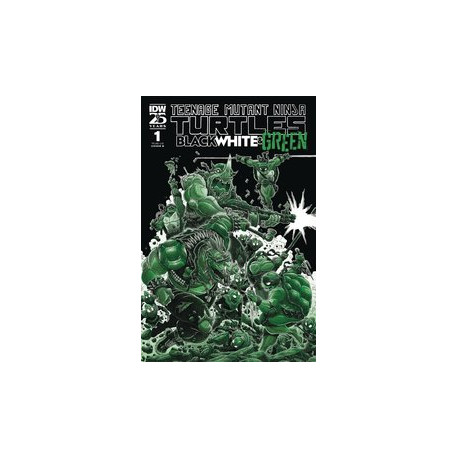 TMNT BLACK WHITE GREEN 1 CVR B STOKOE