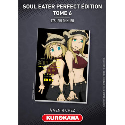SOUL EATER PERFECT EDITION TOME 6
