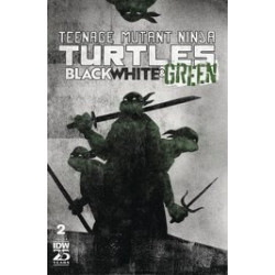 TMNT BLACK WHITE GREEN 2 CVR B LOVE