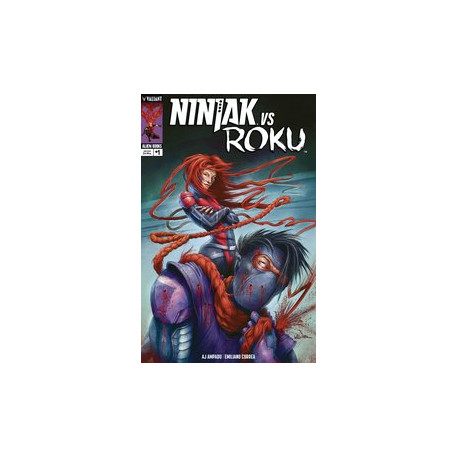 NINJAK VS ROKU 1 CVR B WILLSMER