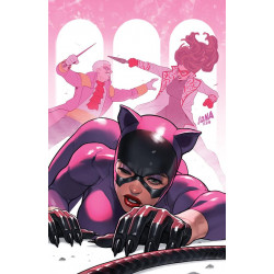 CATWOMAN 66 CVR A DAVID NAKAYAMA