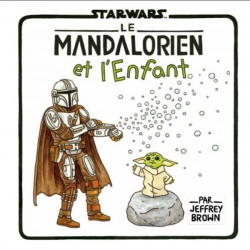 STAR WARS FAMILLE VADOR T07 LE MANDALORIEN ET L'ENFANT