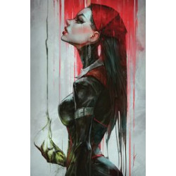 VAN HELSING HEXED CVR D IVAN TAO 