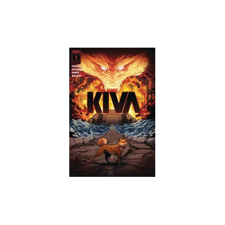 KIVA 1 CVR B BASHAR AHMED