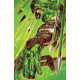 GREEN ARROW 14 CVR B JOHN GIANG CARD STOCK VAR ABSOLUTE POWER 