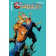 THUNDERCATS 7 CVR D LEE CHUNG