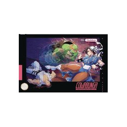 DF TMNT VS STREET FIGHTER 4 NYCC EXC BESCH 