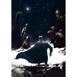 DETECTIVE COMICS 1088 CVR C STEVAN SUBIC CARD STOCK VAR