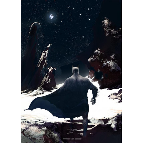 DETECTIVE COMICS 1088 CVR C STEVAN SUBIC CARD STOCK VAR