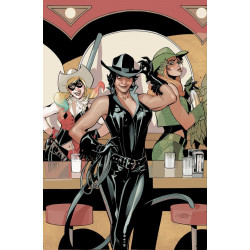 GOTHAM CITY SIRENS 3 OF 4 CVR A TERRY DODSON