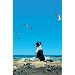 NICE HOUSE BY THE SEA 2 OF 12 CVR C JOSHUA HIXSON CARD STOCK VAR MR 