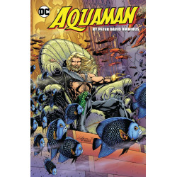 AQUAMAN BY PETER DAVID OMNIBUS HC