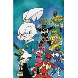 MIGHTY MORPHIN POWER RANGERS USAGI YOJIMBO 1 CVR E FOIL VAR