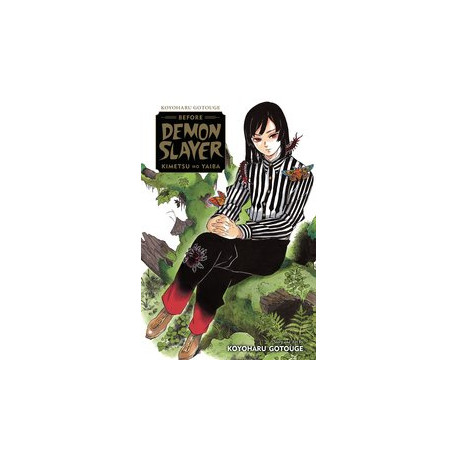 KOYOHARU GOTOUGE BEFORE DEMON SLAYER KIMETSU NO YAIBA GN 