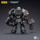 GREY KNIGHTS TERMINATOR CADDON VIBOVA JOYTOY WH 40K ACTION FIGURE 10 CM