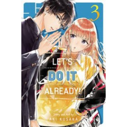 LETS DO IT ALREADY GN VOL 3