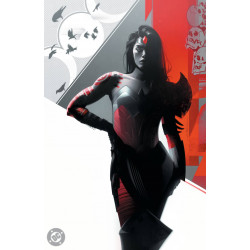 ABSOLUTE WONDER WOMAN 1 CVR A HAYDEN SHERMAN