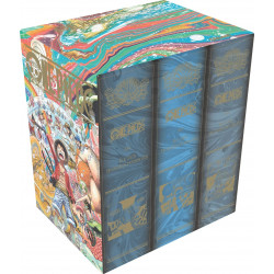 ONE PIECE  COFFRET ILE DES HOMMESPOISSONS  TOMES 62 A 70    TOMES 6270