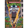 TMNT SATURDAY MORNING ADVENTURES TP VOL 4