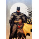 BATMAN AND ROBIN 18 CVR B ARIEL OLIVETTI CARD STOCK VAR