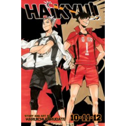 HAIKYU 3-IN-1 ED VOL 4