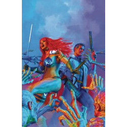 RED SONJA VS AOD 1 CVR H SPEARS METAL PREMIUM