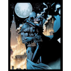 BATMAN COMIC COVERS EMBRACE COLLECTION