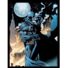 BATMAN COMIC COVERS EMBRACE COLLECTION