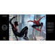 DOUBLE PACK DEDICACE : SARA PICHELLI MUST-HAVE SPIDER-MEN II JAQUETTE MOMIE & LA SORCIERE ROUGE T1